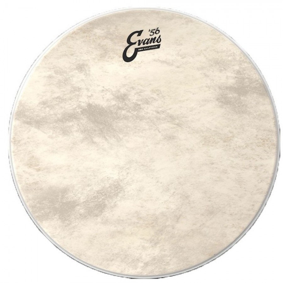 Evans EQ4 Calftone Bass Drum Head - 22